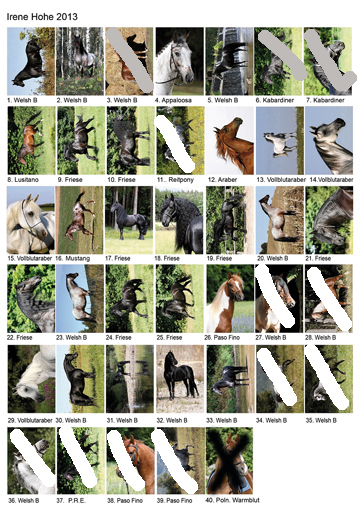 2013neu_klein_neu_2023